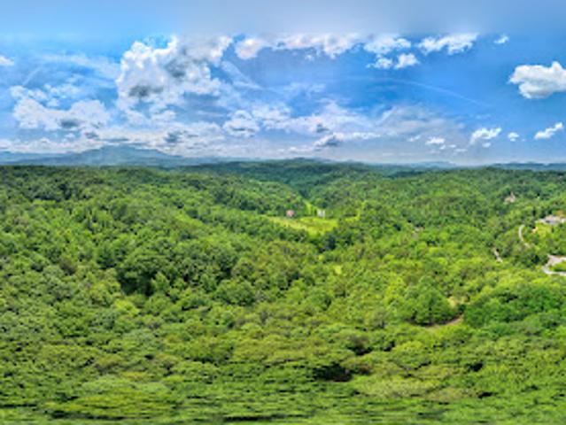 Land for sale in Tennessee