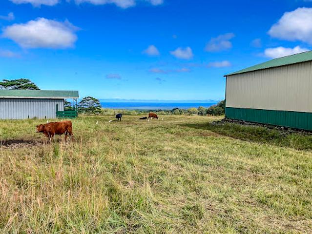 Land for sale in Hawaii