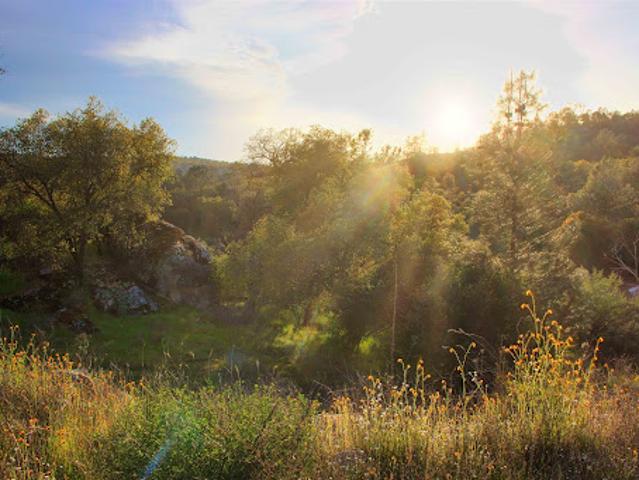 Land for sale in Coarsegold, California