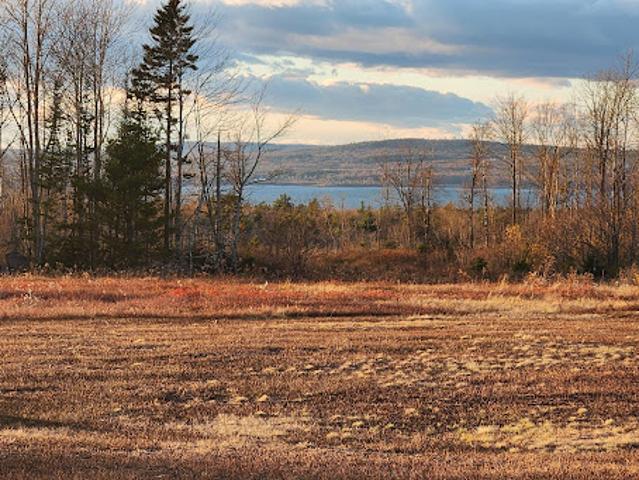 Land for sale in Penobscot, Maine