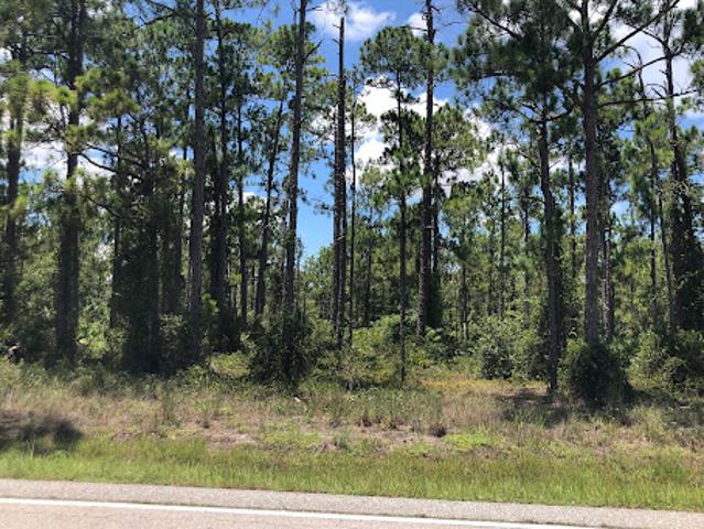 Land for sale in Lehigh Acres, Florida