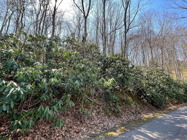 Land for sale in Asheville, North Carolina