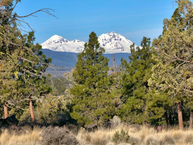 Land for sale in Oregonia