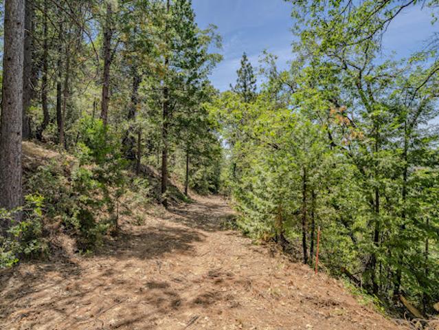 Land for sale in California