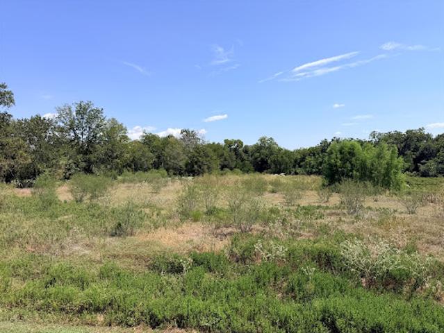 Land for sale in Chappell Hill, Washington County