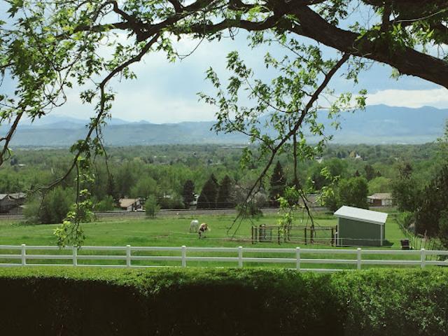 Land for sale in Arvada, Colorado