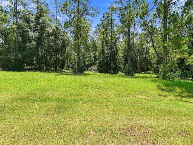 Land for sale in Eustis, Florida