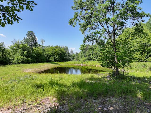 Land for sale in Schuyler Falls Land for sale in Schuyler Falls