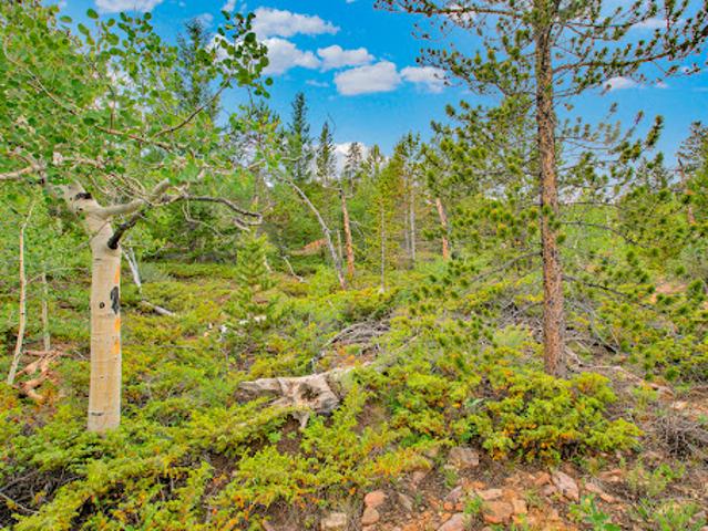 Land for sale in Fairplay, Colorado