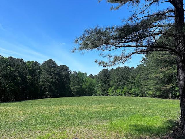 Land for sale in Palmetto, Georgia
