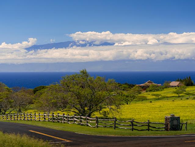 Land for sale in Hawi, Hawaii