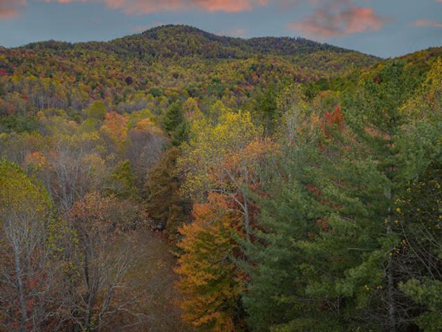Land for sale in North Carolina