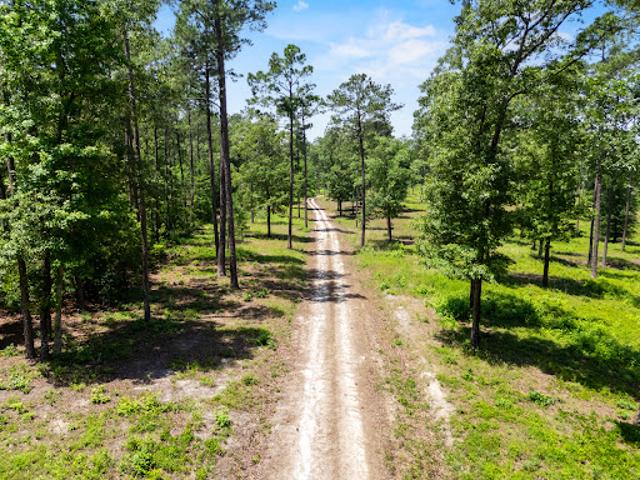Land for sale in Rembert, South Carolina