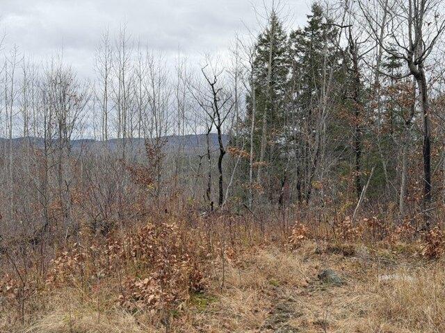 Land for sale in Abbot, Maine