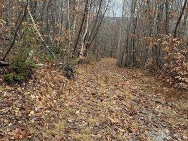 Land for sale in Abbot, Maine