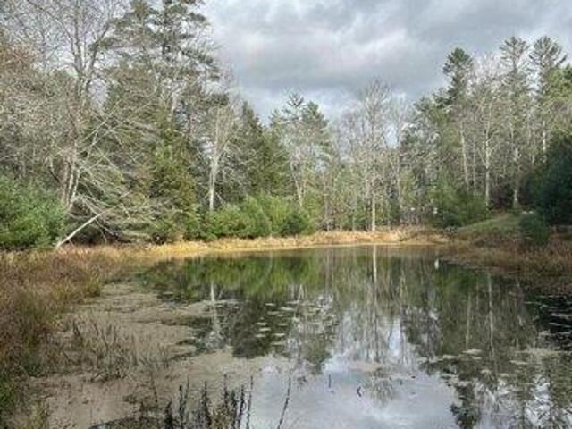 Land for sale in New York