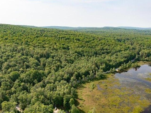 Land for sale in Acton, Maine