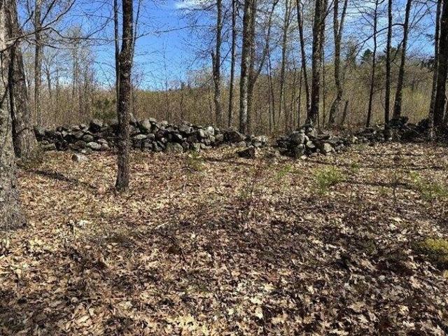 Land for sale in New Hampshire