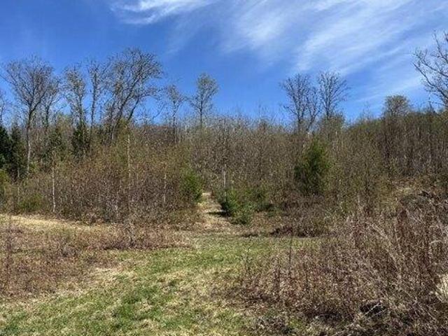 Land for sale in Acworth, Sullivan County