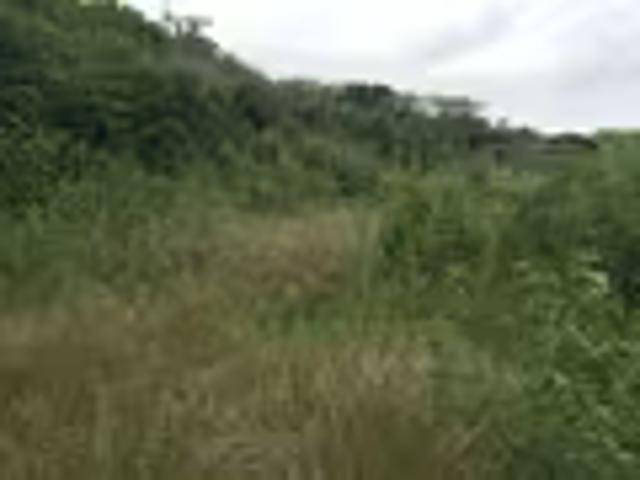 Land for sale