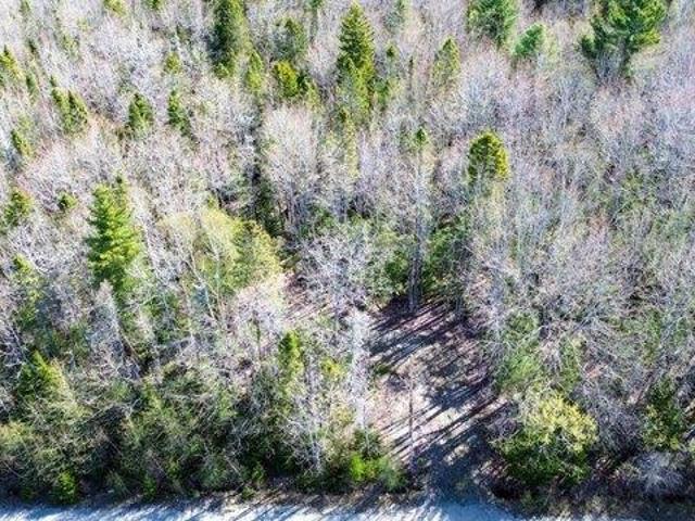Land for sale in Addison, Maine