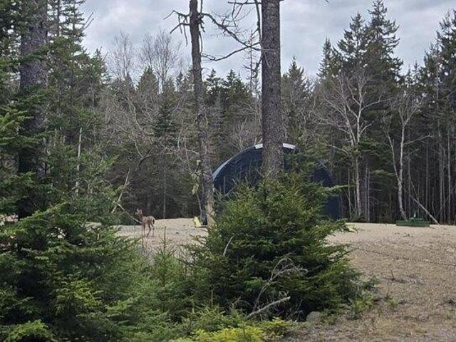 Land for sale in Addison, Maine