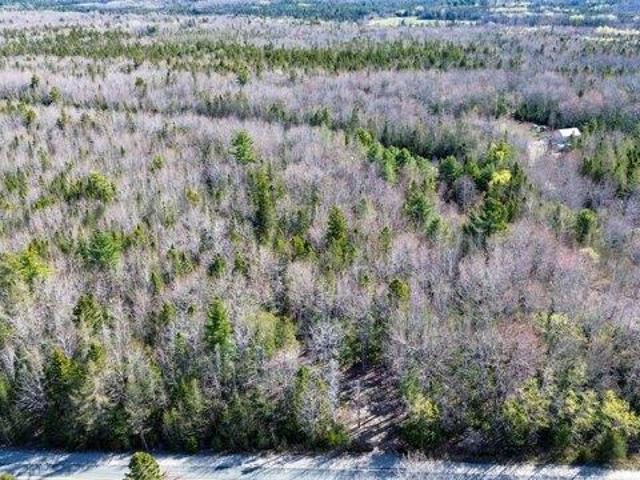Land for sale in Addison, Maine