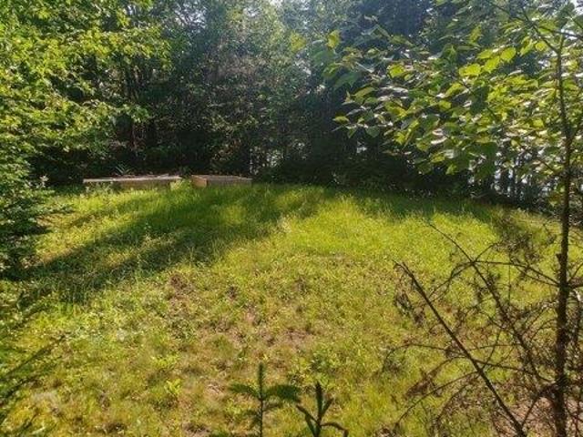Land for sale in Addison, Maine