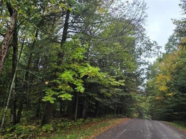 Land for sale in Afton, New York