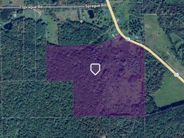 Land for sale in Afton, New York