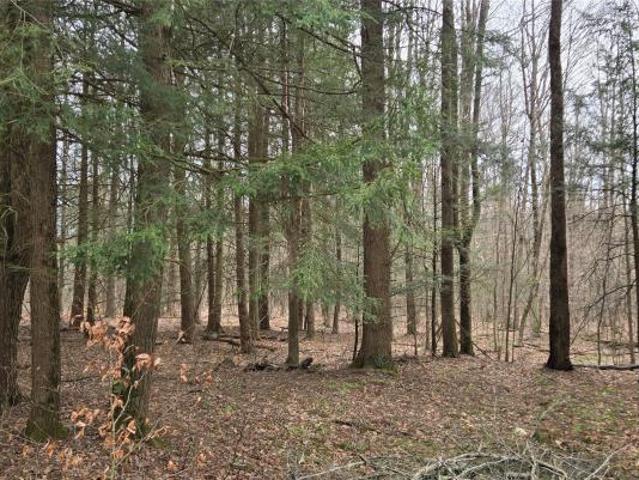 Land for sale in Afton, New York