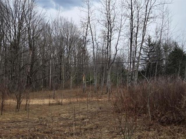Land for sale in Afton, New York