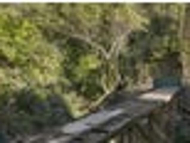 Land for sale in Matata, Wellington