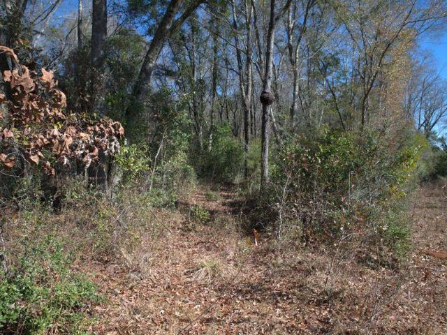 Land for sale in Dougherty, Georgia