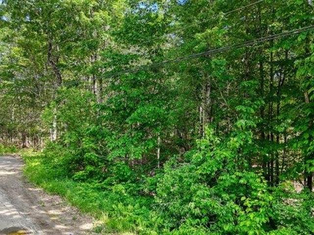 Land for sale in Albion, Maine