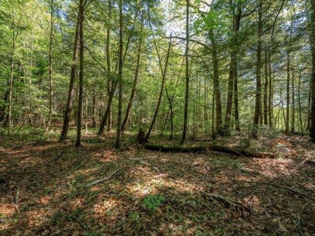 Land for sale in Albion, Maine