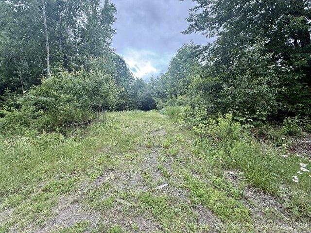 Land for sale in Albion, Maine