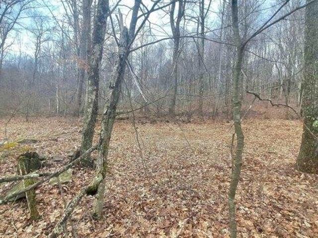 Land for sale in Albright, West Virginia