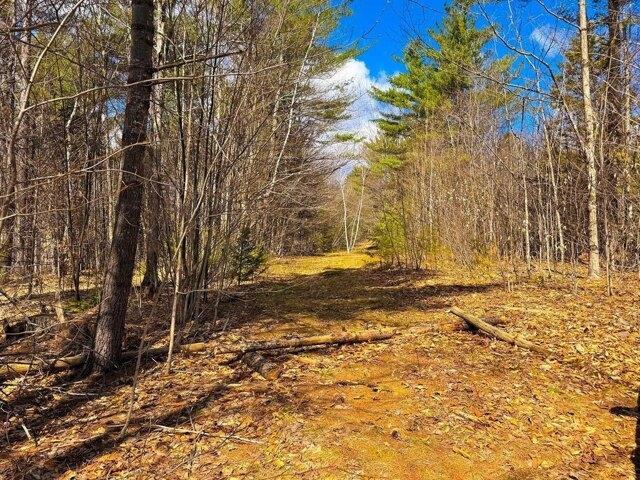 Land for sale in New Hampshire