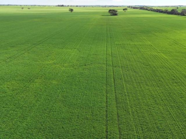 Land for sale in Alford, South Australia