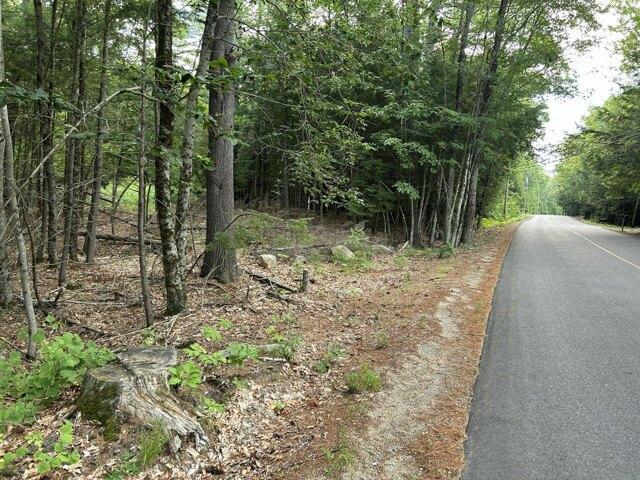 Land for sale in Alfred Mills, Alfred