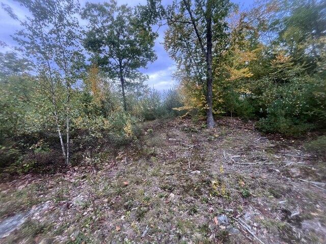 Land for sale in Alfred, York County