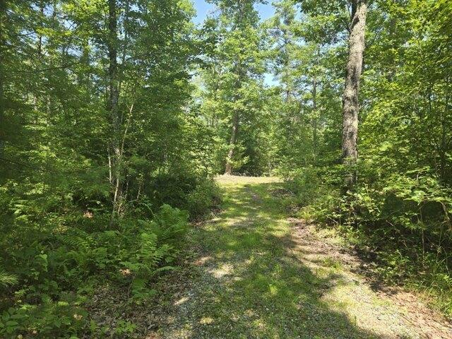 Land for sale in Alna, Maine