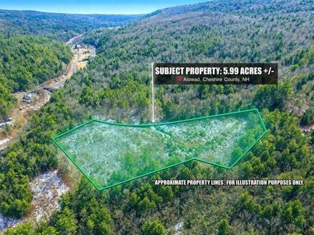 Land for sale in Alstead, Cheshire County