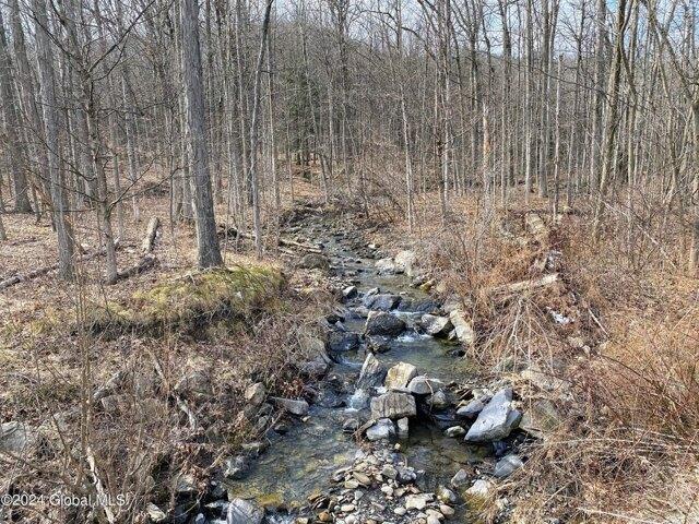 Land for sale in Guilderland, New York