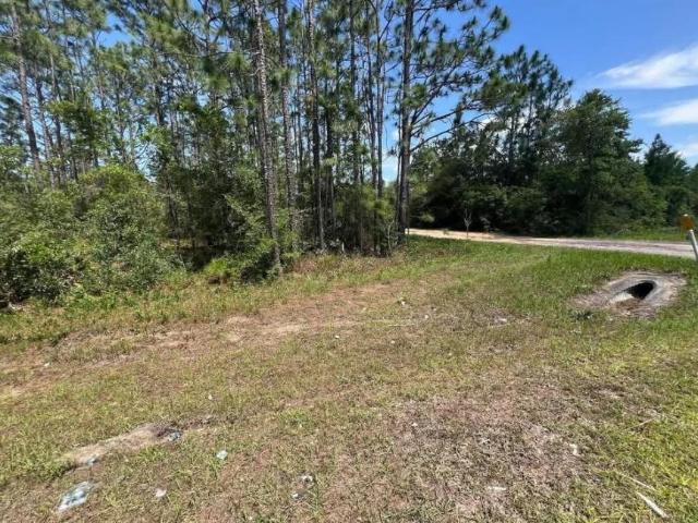 Land for sale in Altha