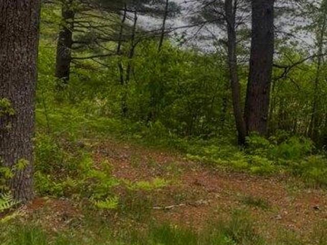 Land for sale in Lagrange, Maine