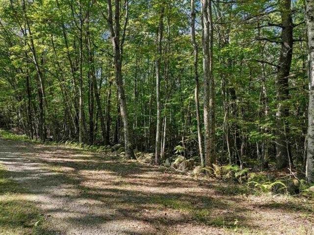 Land for sale in New Hampshire