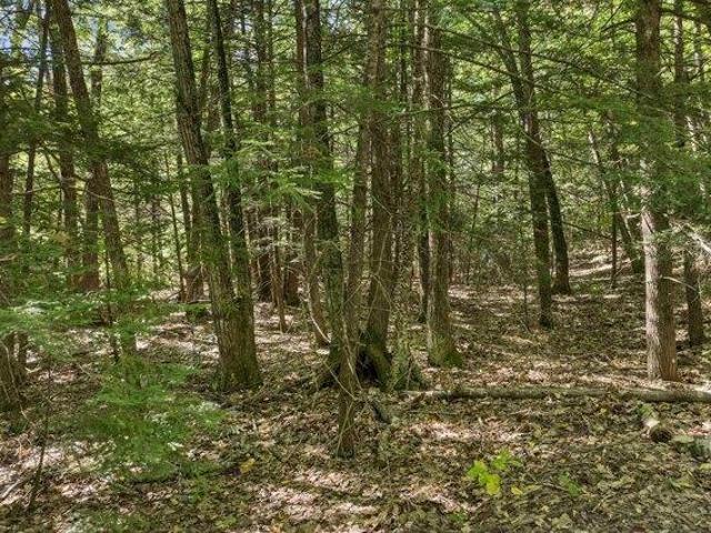 Land for sale in New Hampshire