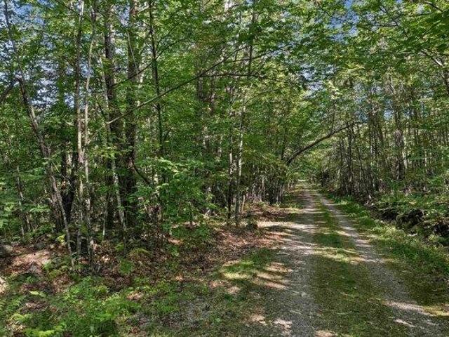Land for sale in New Hampshire
